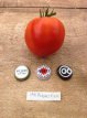 ZTOTGCODEBO Tomate Coeur de Boeuf 20 semillas TessGruun