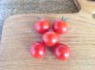 ZTOTGGADE Tomate Gardeners Delight 10 semillas TessGruun