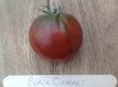 ZTOTGBLOX Tomate Black Oxheart 5 Samen TessGruun