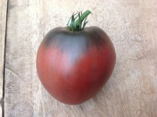 ZTOTGBLOX Tomato Black Oxheart 5 seeds TessGruun