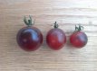 Tomate Dancing With Smurfs Cherry 10 semillas TessGruun