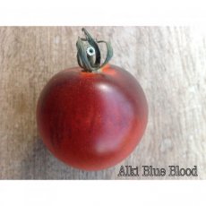 Tomate Alki Blue Blood 10 semillas TessGruun