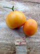 ZTOTGAMOR Tomaat Amana Orange 10 zaden TessGruun