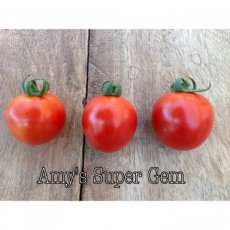 Tomate Amy's Sugar Gem 10 semillas TessGruun