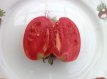 Tomate Andizhanskie 10 semillas TessGruun