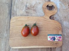 Tomate Andine Noire / Andine Negro 10 semillas TessGruun