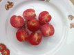 Tomate Arbumiranda 10 semillas TessGruun