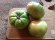 Tomate Aunt Ruby's German Green 10 semillas TessGruun