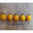 Tomate Aurantiacum 10 semillas TessGruun