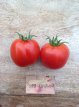 Tomate Babanicz 10 semillas TessGruun