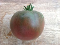 Tomate Black from Tula 10 semillas TessGruun