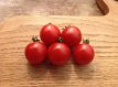 Tomate Bistro 10 semillas TessGruun