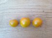 Tomate Big Sungold Select 10 semillas TessGruun