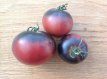 Tomate Black Beauty 5 samen TessGruun