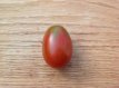 ZTOTGBRCHE Tomato Brown Cherry 10 seeds TessGruun