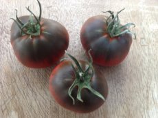 ZTOTGBLSEMA Tomato Black Sea Man 10 seeds TessGruun