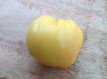 Tomate Bull's White Heart 10 semillas TessGruun