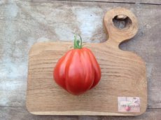 ZTOTGCDBDN Tomato Oxheart Coeur de boeuf de Nice 10 seeds TessGruun