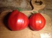 ZTOTGCDBJ Tomate Coeur De Boeuf De Jérusalem 10 semillas TessGruun
