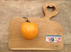 ZTOTGCDBO Tomate Coeur De Boeuf Orange 10 graines TessGruun
