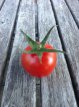 ZTOTGCHCHBIO Tomate Chadwick Cherry BIO 10 semillas TessGruun