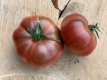 Tomate Charbonnière du Berry 10 semillas TessGruun