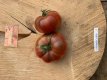 ZTOTGCHDUBE Tomate Charbonnière du Berry 10 semillas TessGruun