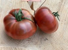 ZTOTGCHDUBE Tomate Charbonnière du Berry 10 graines TessGruun