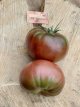 ZTOTGCHPU Tomate Cherokee Purple 10 semillas TessGruun
