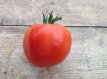 ZTOTGCODBOX Tomato Coeur de Boeuf - Oxheart 10 seeds TessGruun