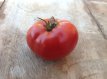 ZTOTGDE Tomaat Delicious (wereldrecordhouder) 10 zaden TessGruun