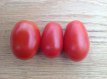 ZTOTGDEBE Tomato De Berao 10 seeds TessGruun