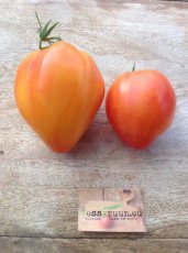 ZTOTGDEHE Tomato Desdemona’s Heart 10 seeds TessGruun