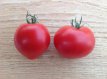 ZTOTGED Tomate Edouard 10 semillas TessGruun