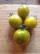 ZTOTGESGOVE Tomate Esmeralda Golosina Verte 10 graines TessGruun