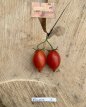 ZTOTGFIASCH Tomate Fiaschetto 10 semillas