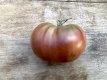 ZTOTGFIMA Tomate First Mate 10 graines