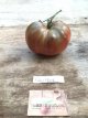 ZTOTGFIMA Tomate First Mate 10 semillas