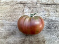 ZTOTGFIMA Tomato First Mate 10 seeds