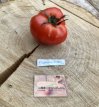ZTOTGFLORIB Tomate Florence Ribbed 10 graines