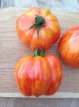 ZTOTGFO Tomate Forshmak 10 Samen TessGruun