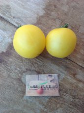 ZTOTGGAPE Tomate Garden Peach 10 semillas TessGruun