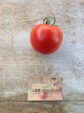 ZTOTGGAR Tomaat Gartenperle 10 zaden TessGruun