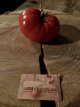 ZTOTGGIBEPI Tomate Giant Belgian Pink – 10 semillas TessGruun