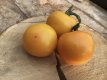 ZTOTGGLDEMA Tomate Gloire de Malines 10 semillas