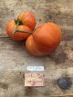 ZTOTGGOME Tomato Gold Medal 10 seeds