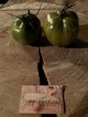 Tomaat Green Bell Pepper 10 zaden TessGruun