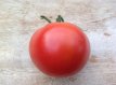 Tomato Krakus 10 seeds TessGruun