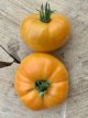ZTOTGMEOR Tomate Mennonite Orange 10 semillas