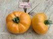 ZTOTGMEOR Tomate Mennonite Orange 10 graines